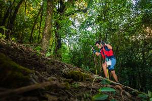 BIB: 
                            <button type="button" onclick="openModal(16015928)" class="btn btn-primary btn-sm float-right btn-popup" data-toggle="modal" data-target=".modal-high-quality">
                        <i class="fas fa-shopping-cart"></i> Add to Cart
                    </button>
                                            <button type="button" onclick="isThisMe(16015928, true)" class="btn btn-success btn-sm float-right btn-popup btn-isme hidden" data-toggle="tooltip" data-placement="bottom" title="นี่คือรูปของคุณใช่ไหม คลิกที่นี่เพื่อเอาเข้าอัลบั้ม">
                        <i class="fas fa-plus"></i> Add to album
                    </button>
                    <button type="button" onclick="isThisMe(16015928, false)" class="btn btn-warning btn-sm float-right btn-popup btn-isnotme hidden">
                        <i class="fas fa-ban"></i> Remove from album
                    </button>